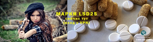 молекула духа Богданович