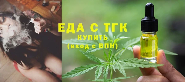 молекула духа Богданович