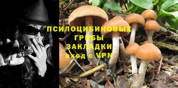 не бодяженный Богородицк