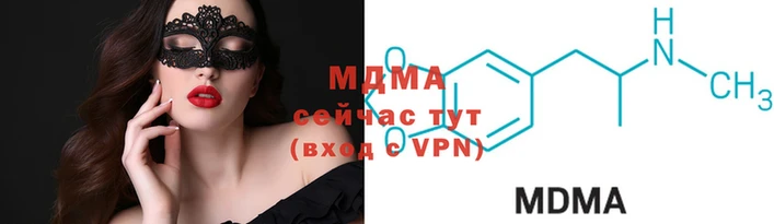 молекула духа Богданович