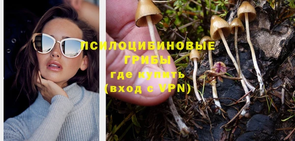 Альфа ПВП Богородск