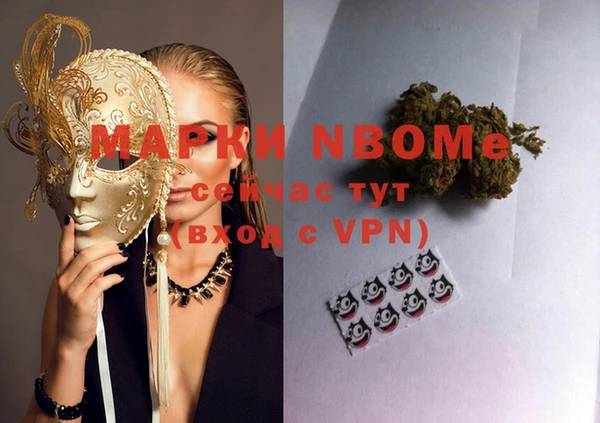 молекула духа Богданович