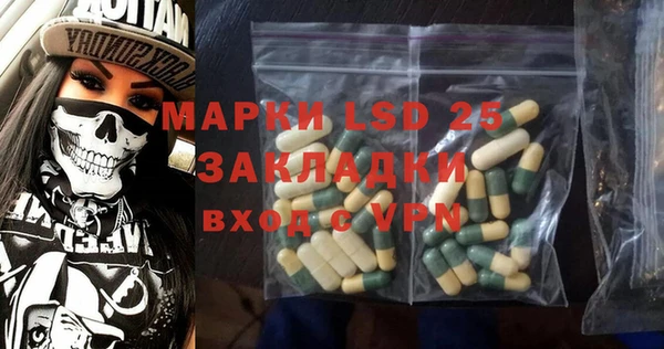 молекула духа Богданович