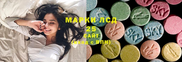 молекула духа Богданович