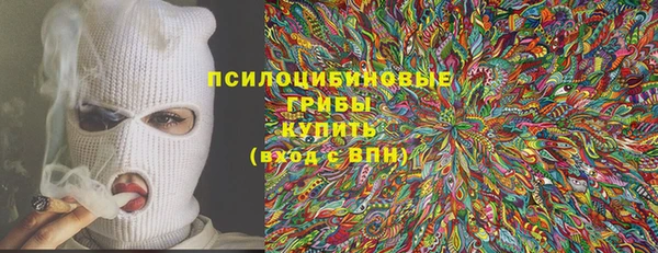 молекула духа Богданович