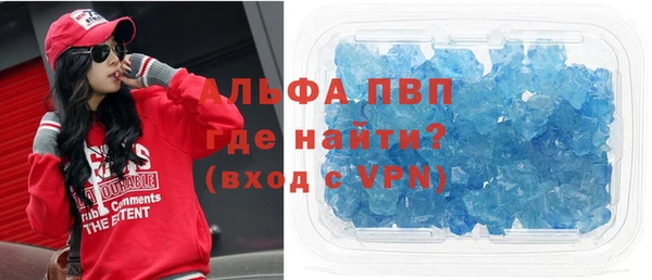 молекула духа Богданович