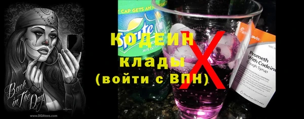 молекула духа Богданович